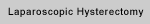 Laporoscopic Hysterectomy